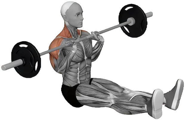 Z Press exercise demonstration