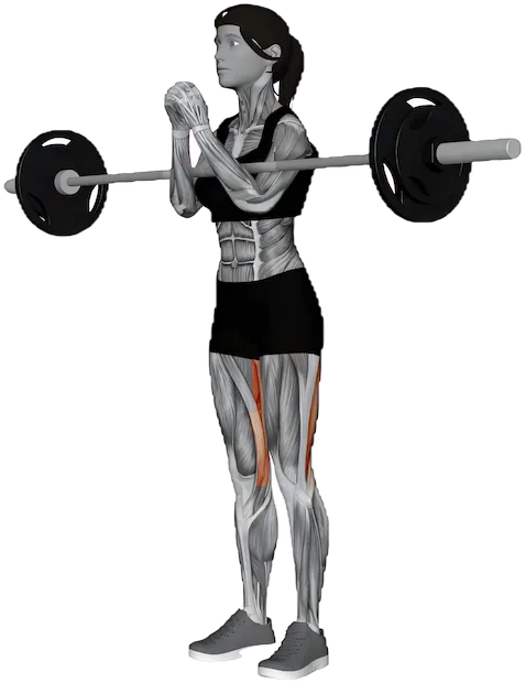 Zercher Good Morning exercise demonstration