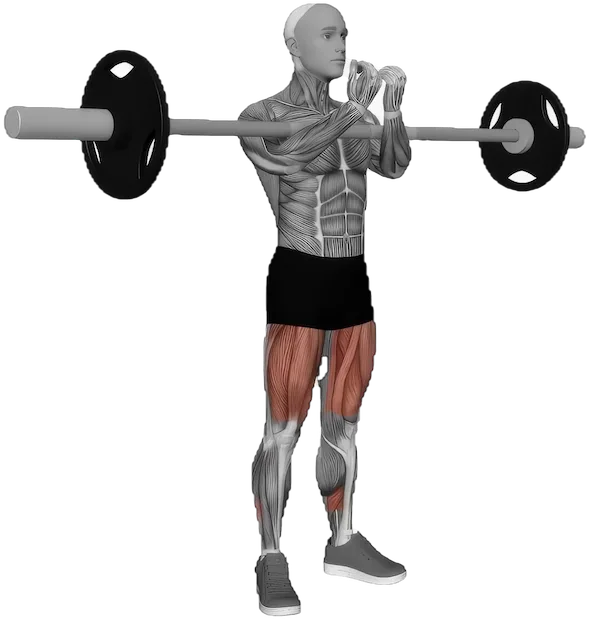 Zercher Squat exercise demonstration